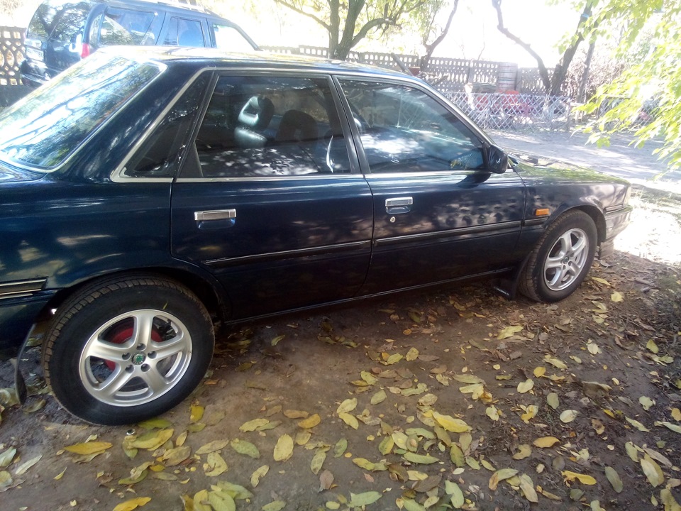 Прикупив))) 3