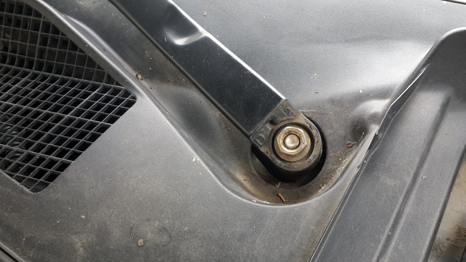 Як убити цвіркуна 1