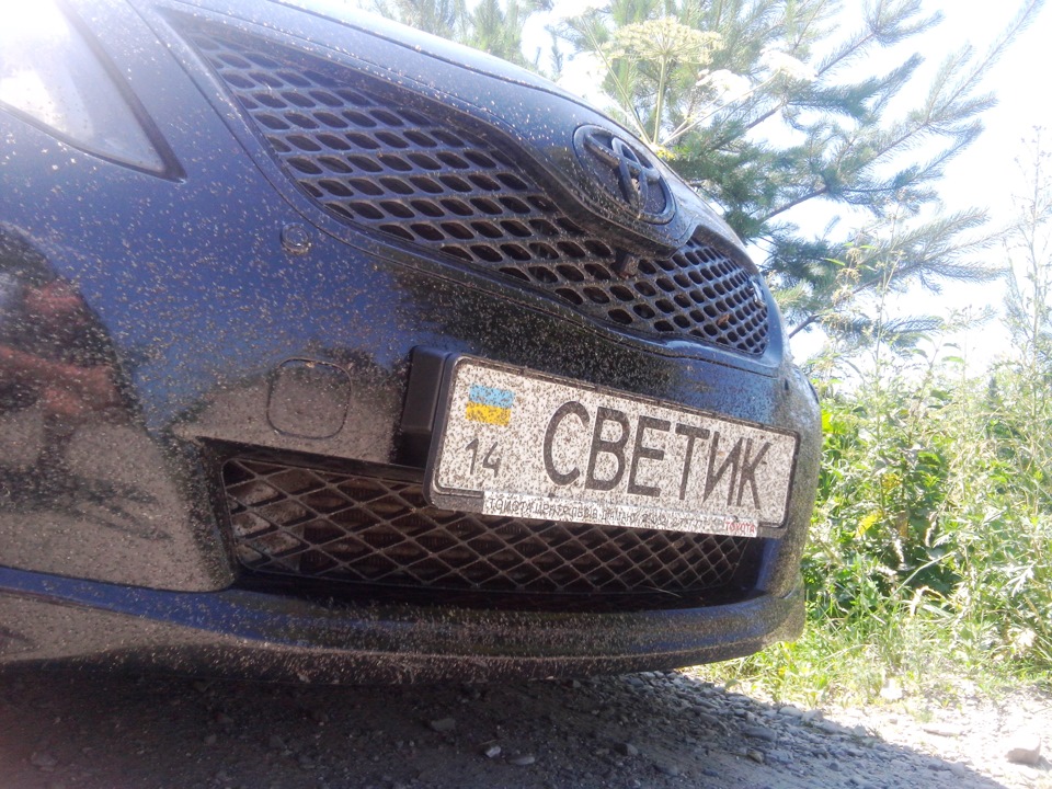 Аномальний мошкопад))) 1