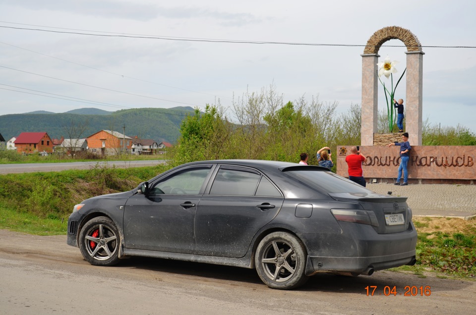 Долина нарцисів на Закарпатті 5