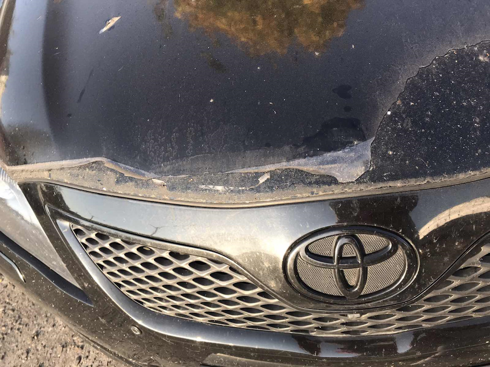 Чи варто покривати автомобіль антигравійною плівкою 3
