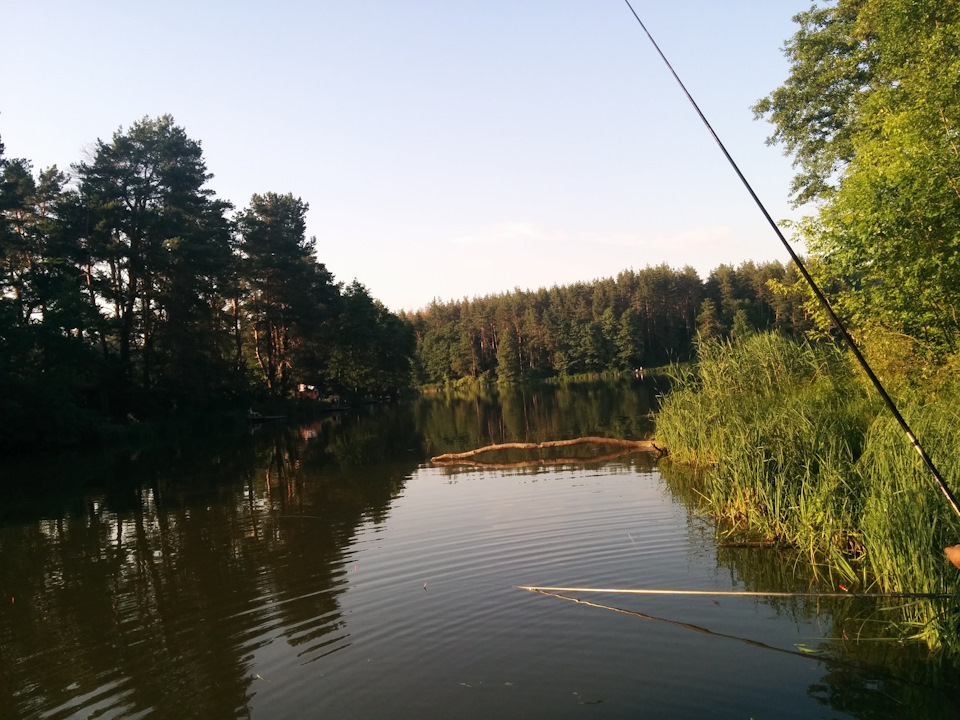 Як я провів вихідні 4