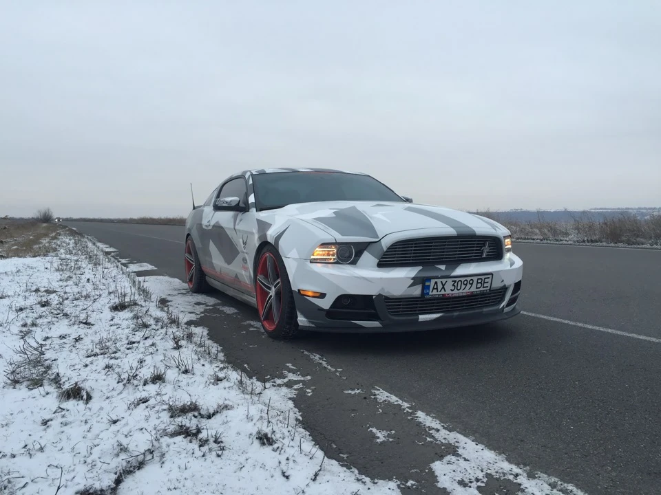 Mustang