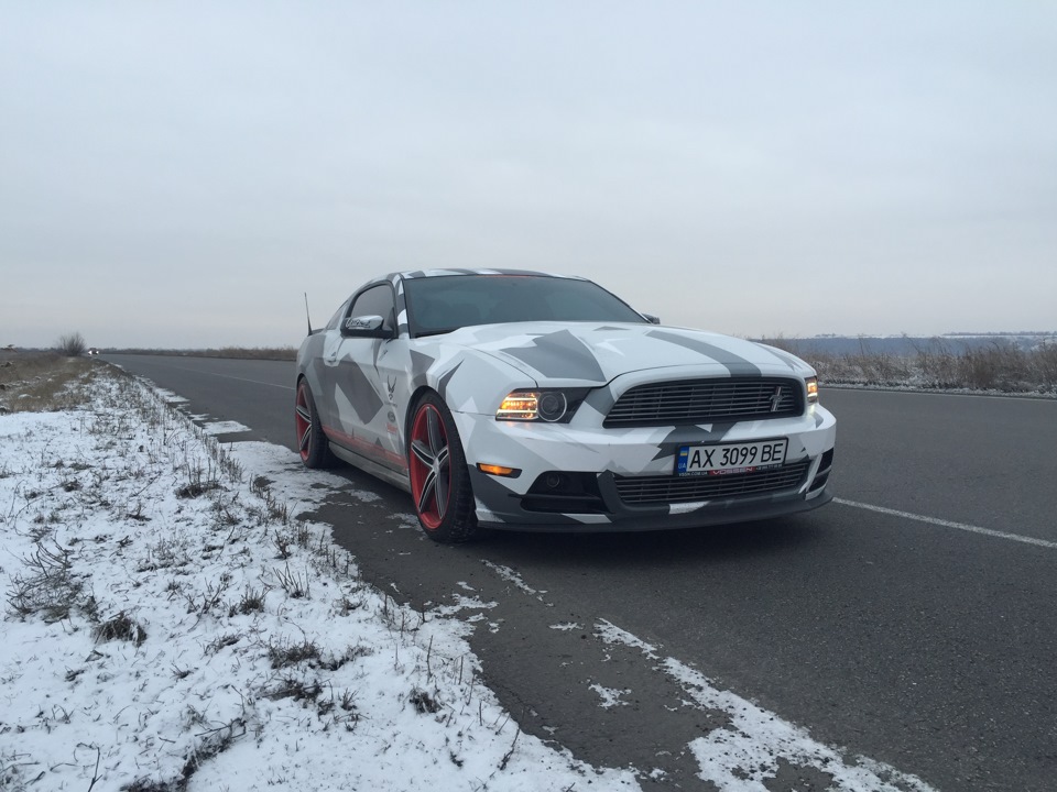 Mustang 1