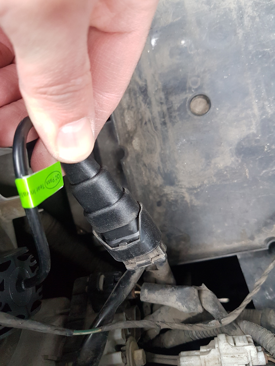 І знову Алі Led 1