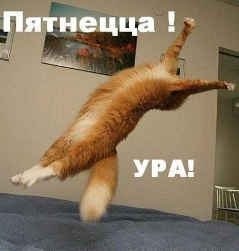 Я її з фоторушниці... 1