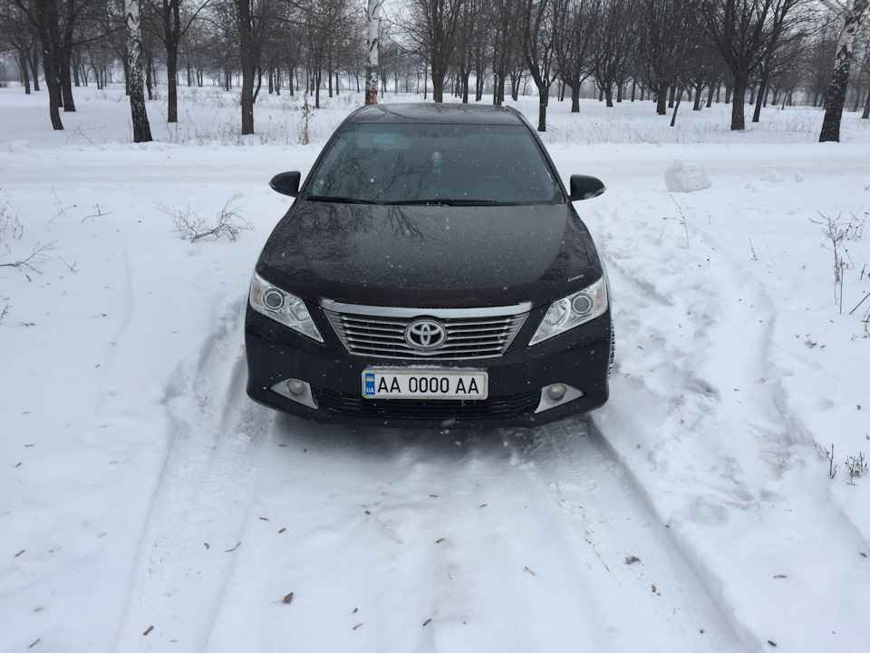 Я її з фоторушниці... 4