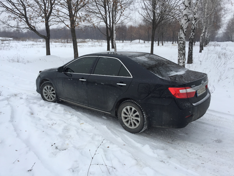 Я її з фоторушниці... 2