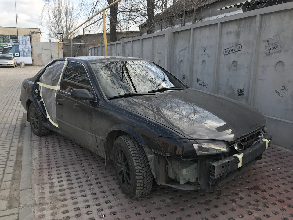 #живилошадка 1