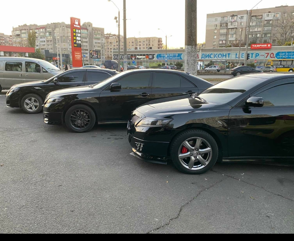 №55 НИШТЯКИ 3