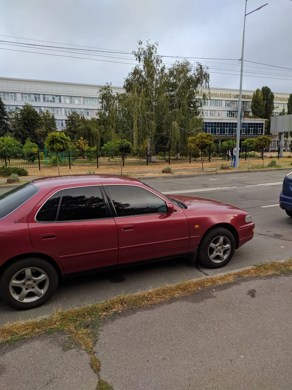 Краще Ведмедика немає покришки ...