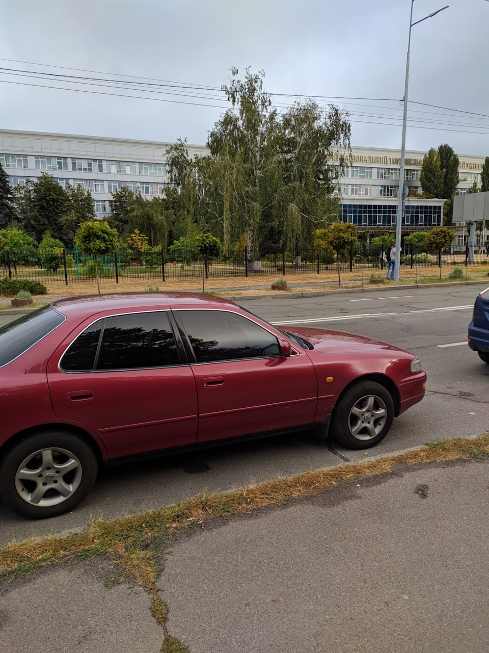 Краще Ведмедика немає покришки ... 1