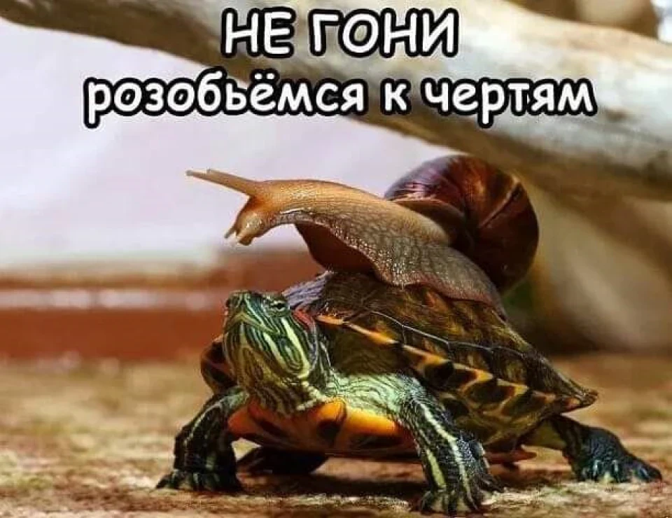 Зіпсований передноворічний настрій (ДТП)