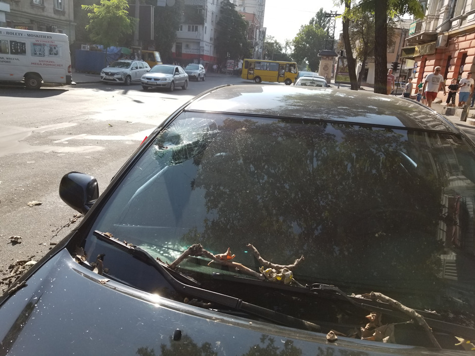 Друкували піст, зелентрест - гори в ... 4