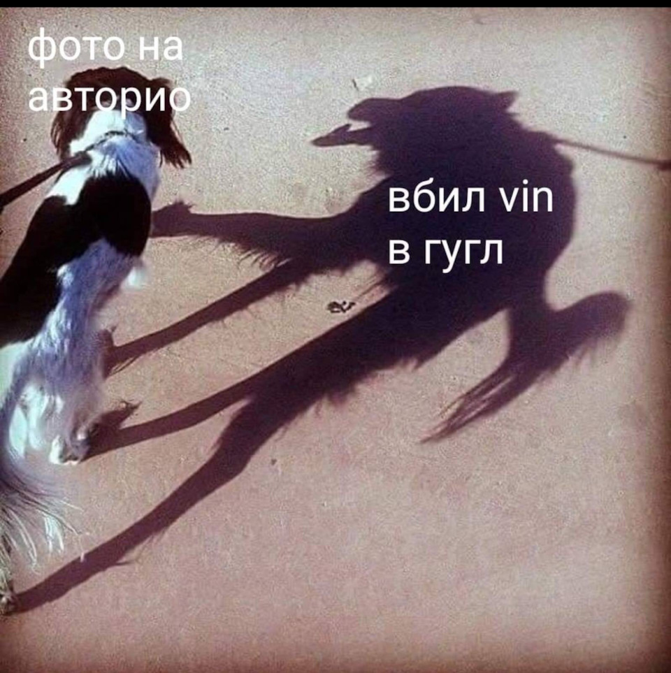 Особисте. Борошна вибору? Спостереження) 1