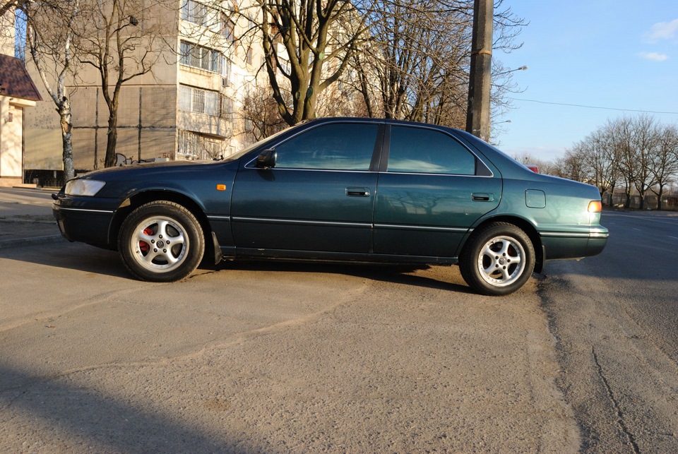 Тапки 3