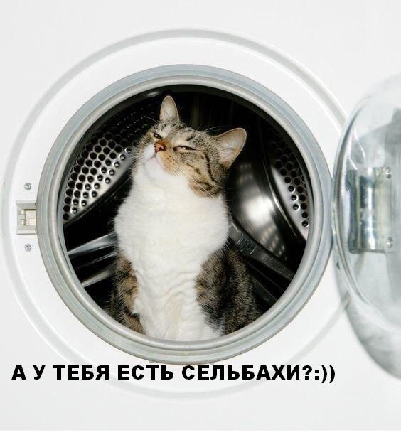 А ось і новий образ моїх Сельбахів! 1