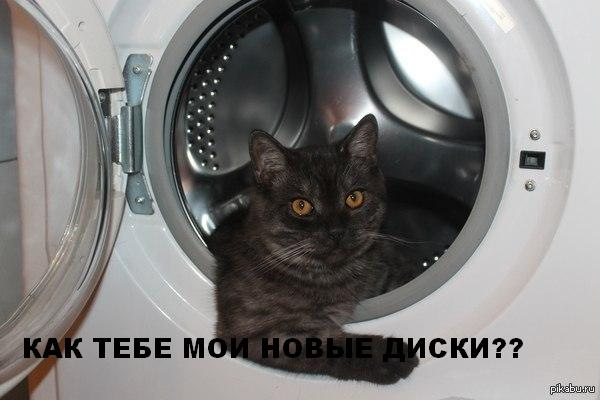 А ось і новий образ моїх Сельбахів! 2