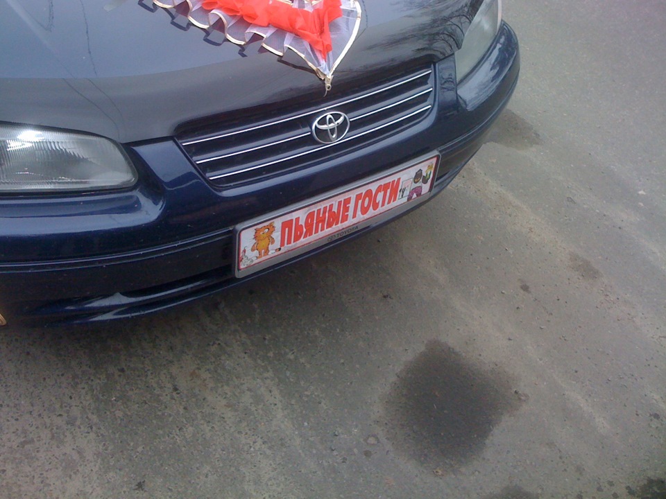 Камрюша на весіллі ... 2