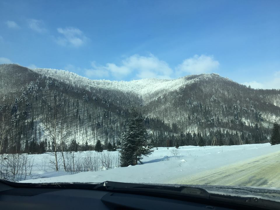 Карпати взимку! 4