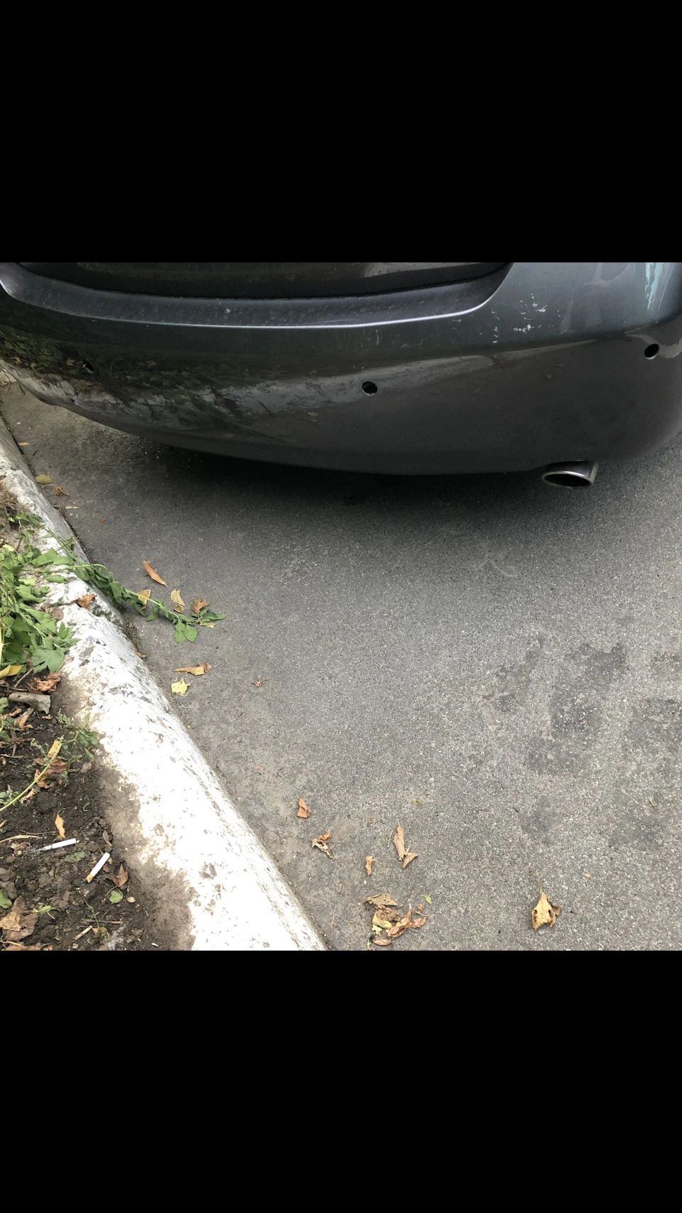 Біда багатьох Камріводів (мородири🤨)