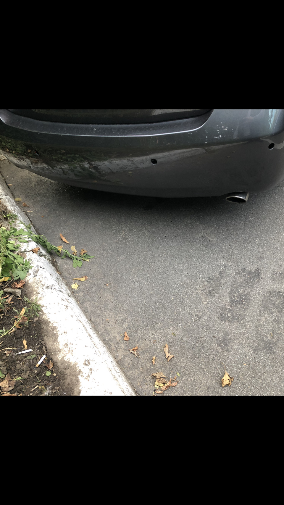 Біда багатьох Камріводів (мородири🤨) 1