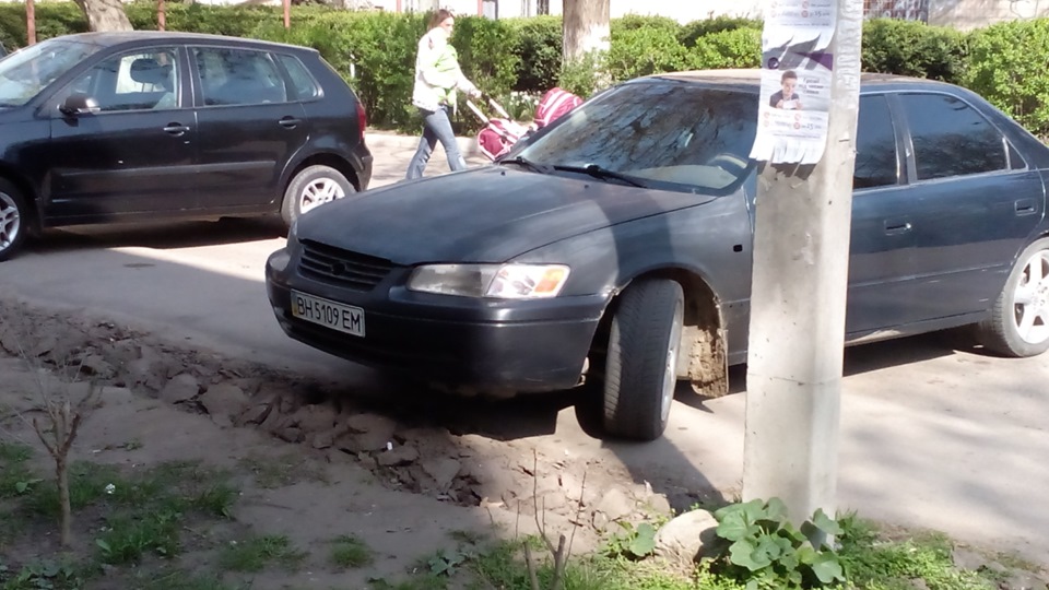 Бережіть своїх улюбленців ... 2