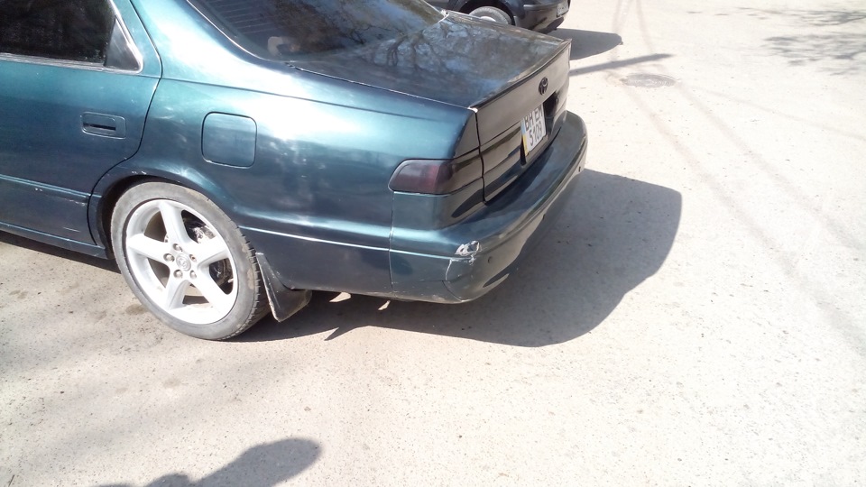 Бережіть своїх улюбленців ... 4