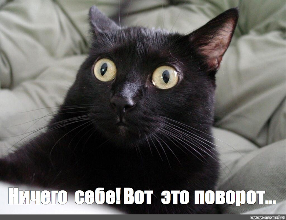 T'EYES… Мій вхід в історію… 3