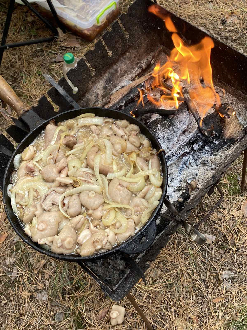 Грибочки))) 2