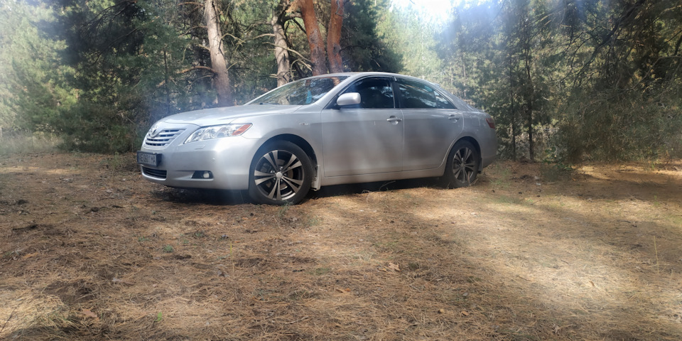 Грибочки))) 3