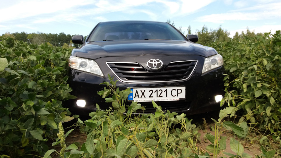 У пошуках грибів 2