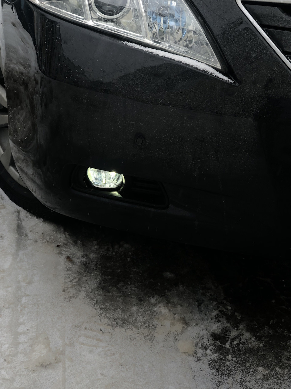 Led ПТФ Lexus Toyota 3