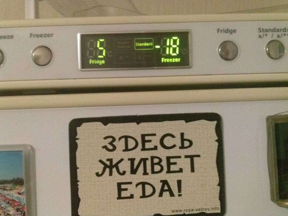 Новий житель камінця, який зігріє:)) 3