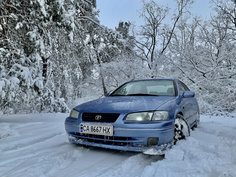 Покотушки в лісі 4