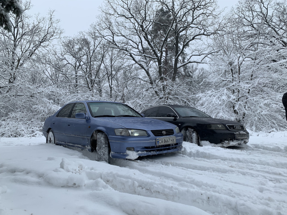 Покотушки в лісі 2
