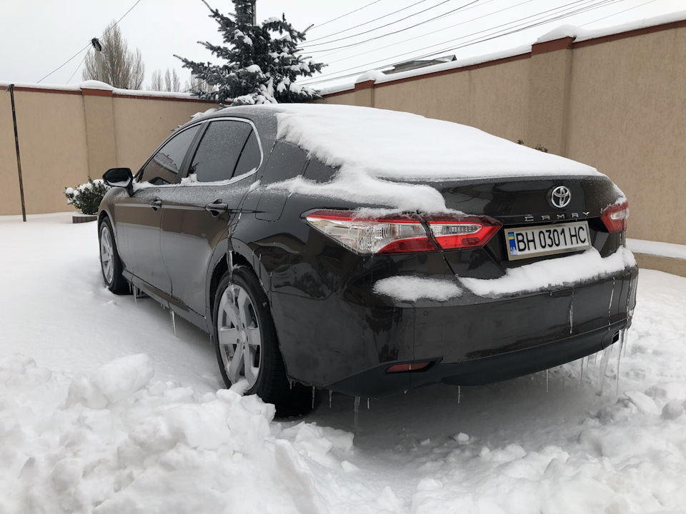 Стало шкода … 2