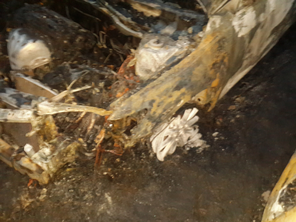 Згоріла камінчик 3