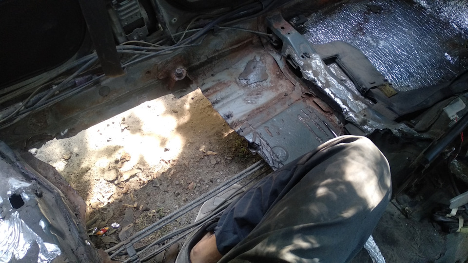 Ганяю павуків ч.1 5