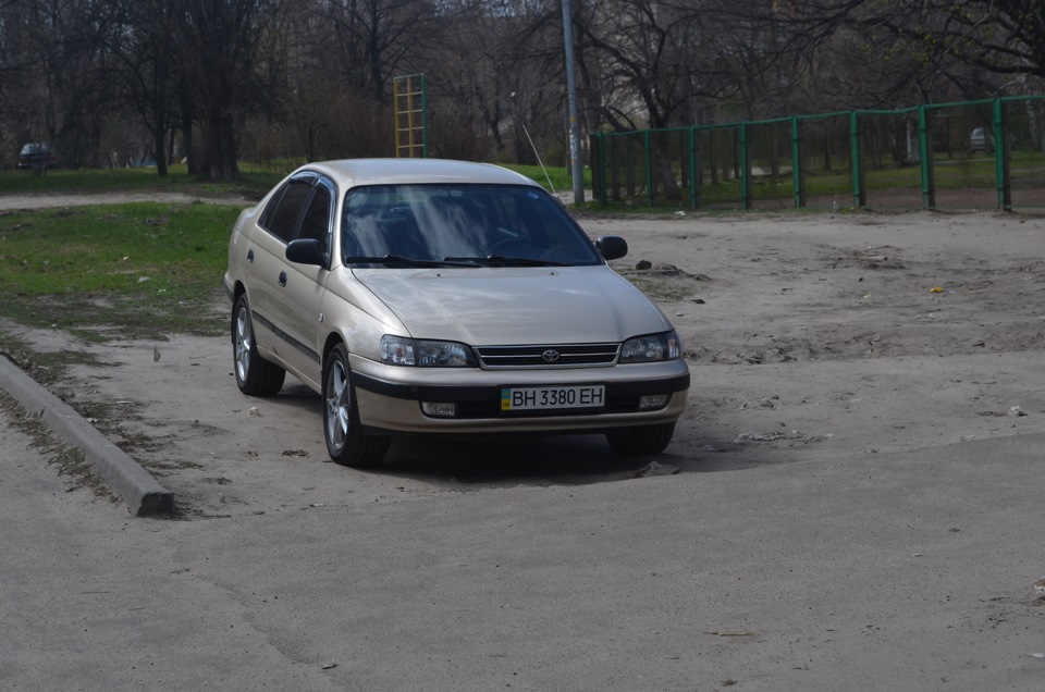 Фотографії 21.03.2013 1