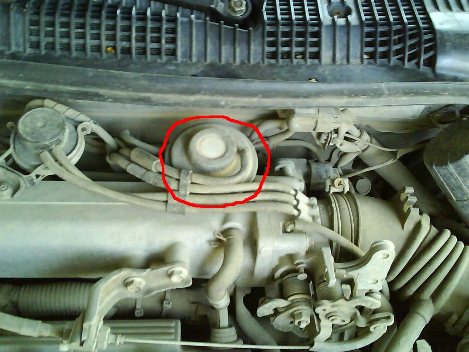 Заглушив EGR 1