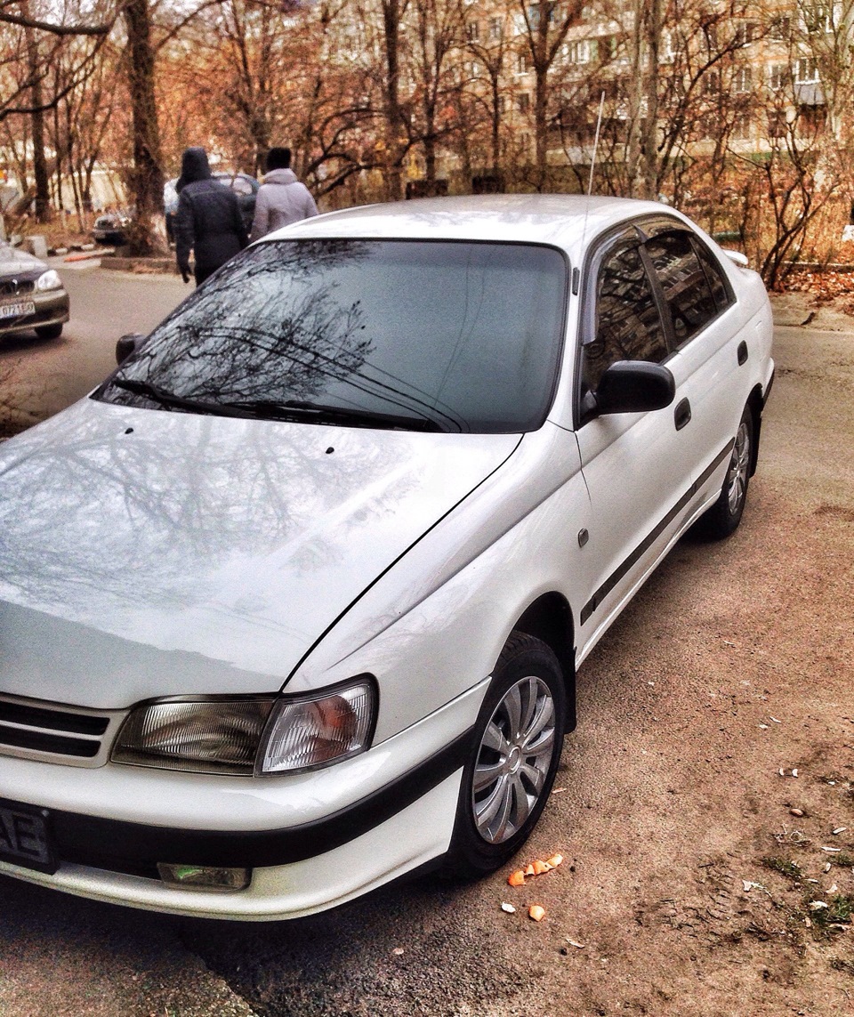 Літо/Зима 4