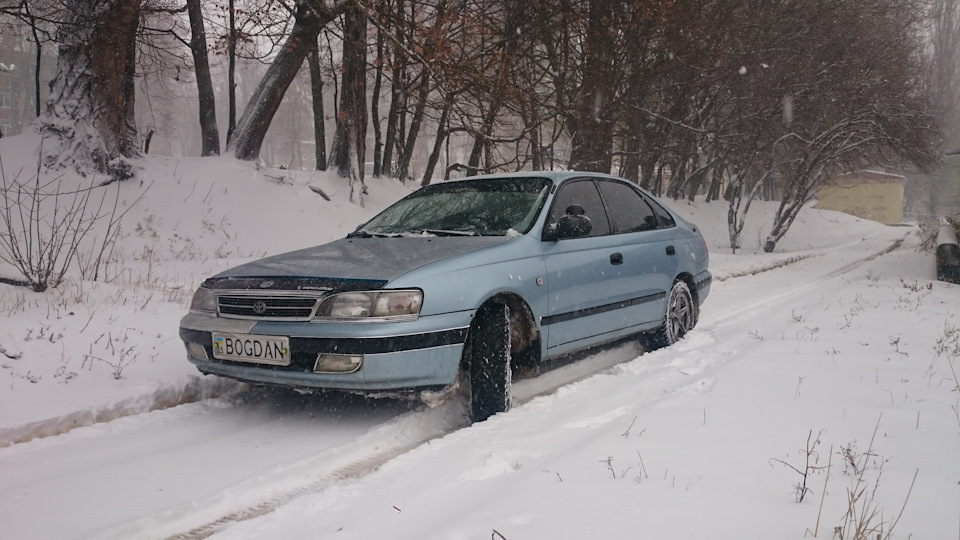Перший сніг! 1