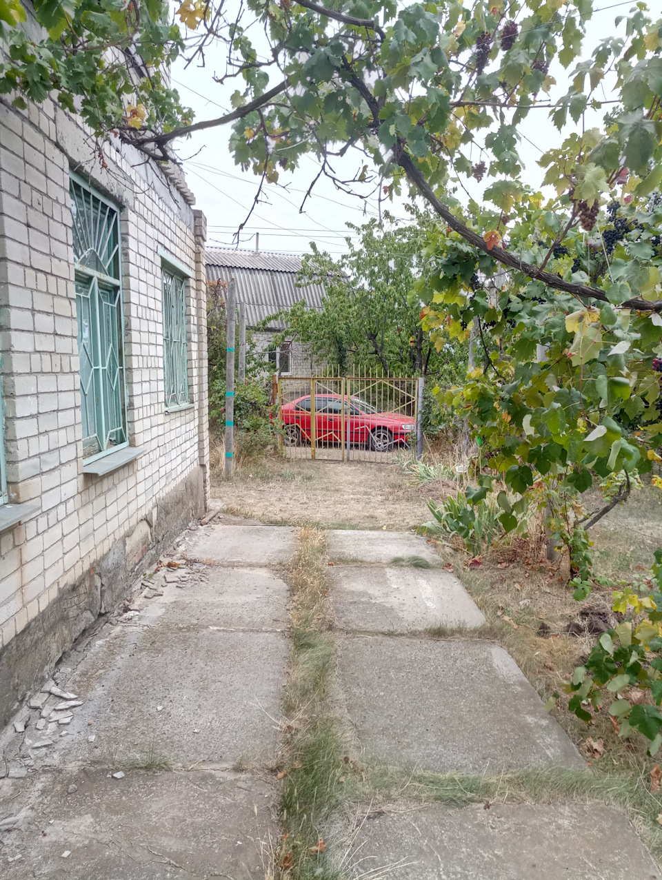 Дачні справи 3