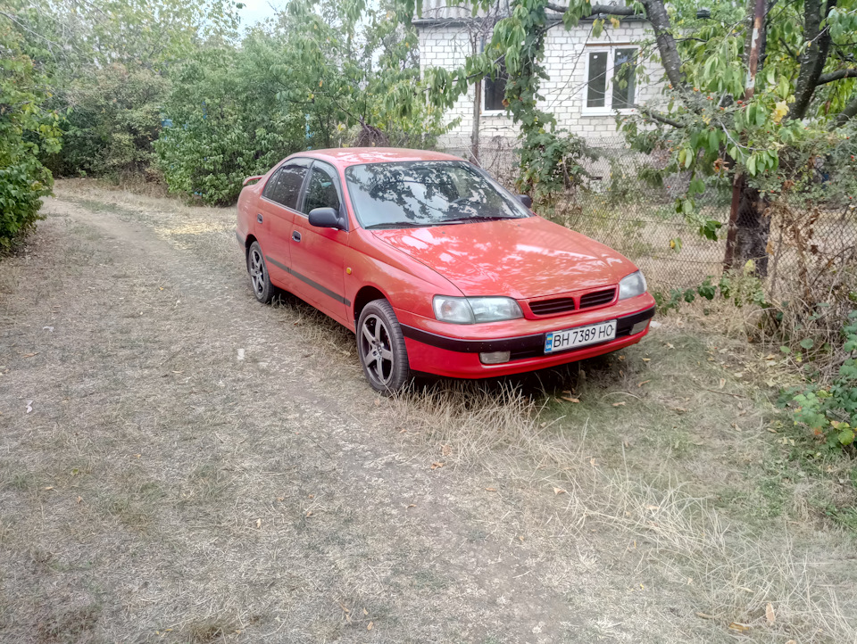 Дачні справи 5