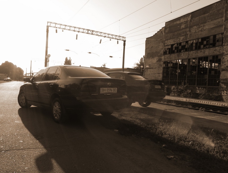 Зустріч двох Іпонців)) (фотосет) 5