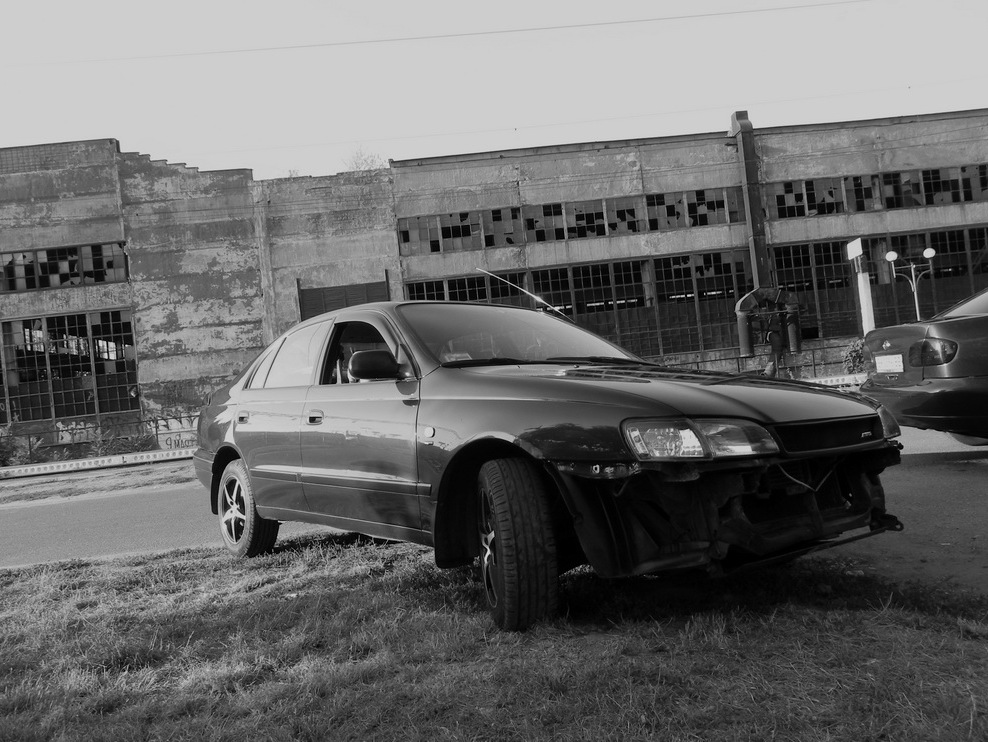 Зустріч двох Іпонців)) (фотосет) 1