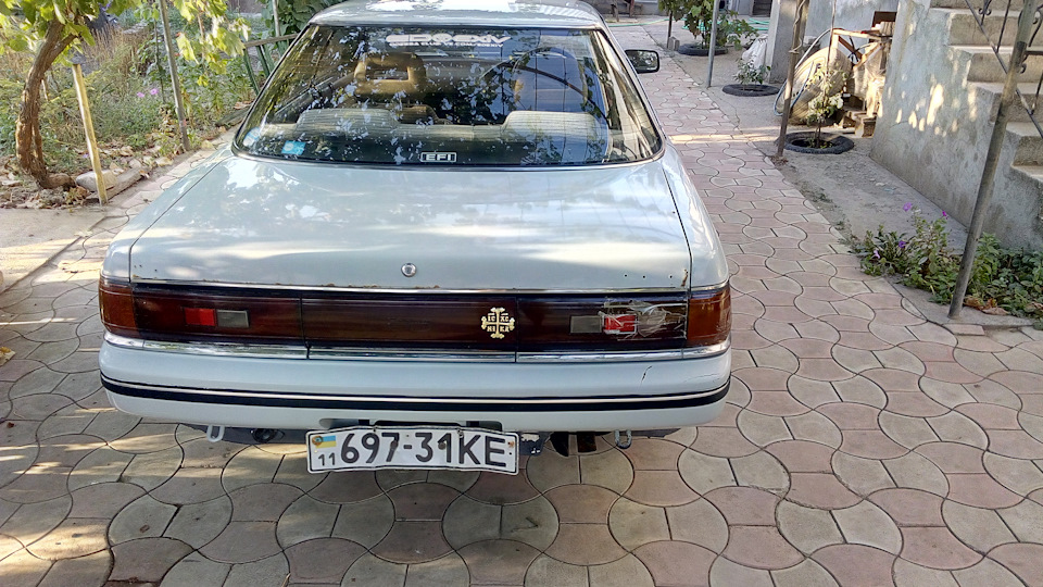 Задні стопи. 1