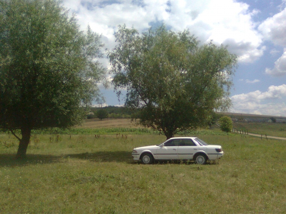 літні фотки 5