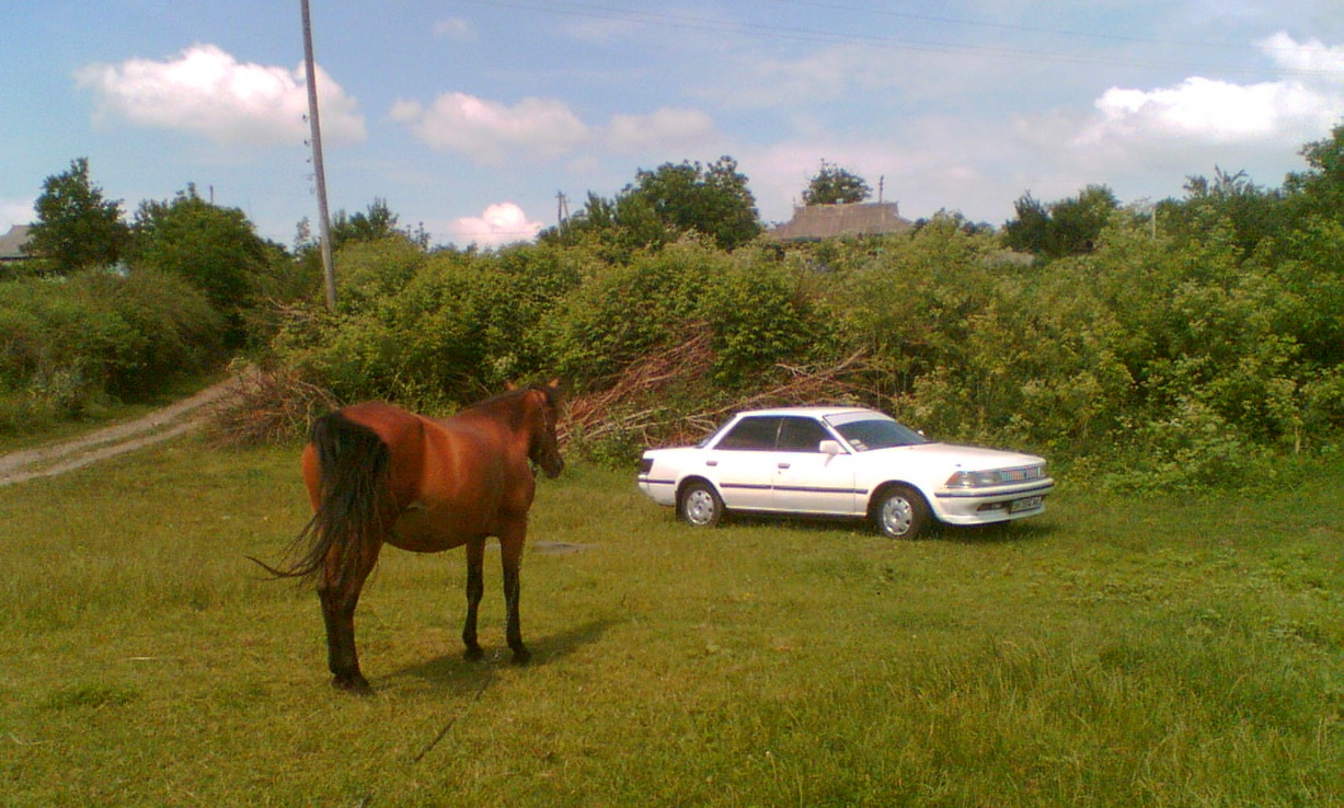 Запис, 29 червня 2010 2
